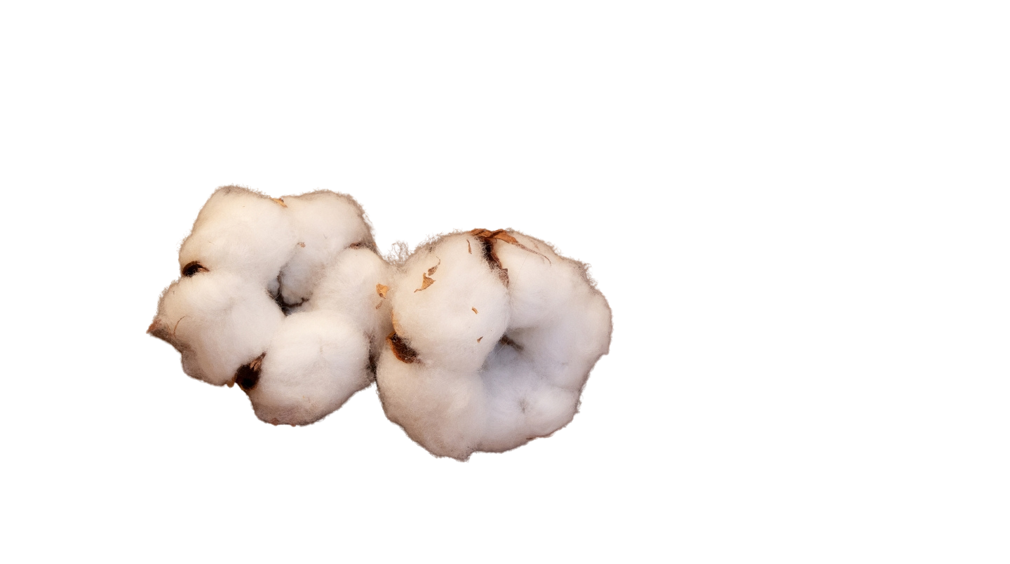Cotton
